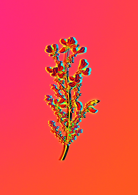 Neon Botanical Drawing