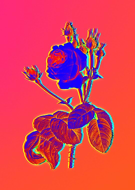 Neon Floral Illustration