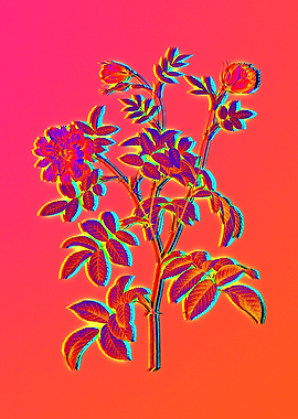 Neon Flora Illustration