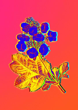 Neon Flower Illustration
