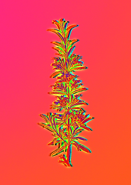 Neon Botanical Painting