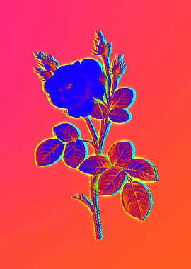 Neon Electric Blue Flower