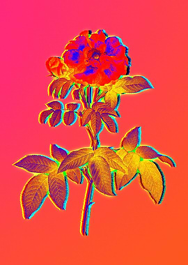 Neon Flowers Illustration