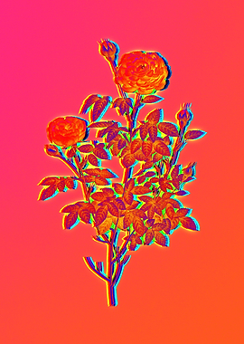 Neon Botanicals Drawing