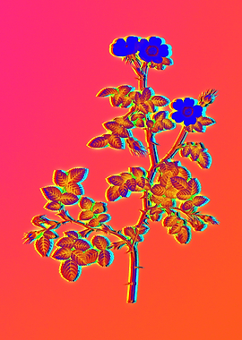 Neon Flowers Illustration