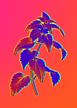 Neon Flowers Illustration