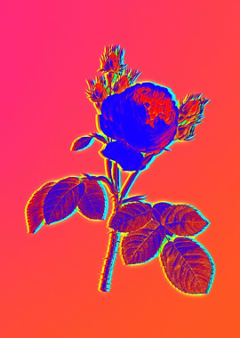 Neon Flower Illustration