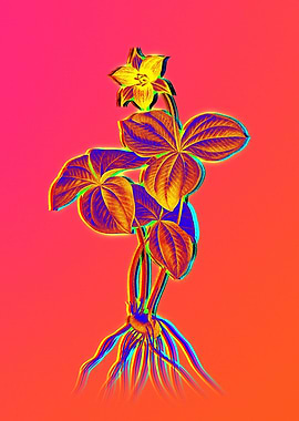 Ultraviolet Neon Flowers