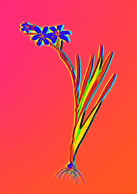 Fiery Neon Pink Botanical