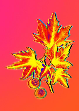 Neon Flower Illustration