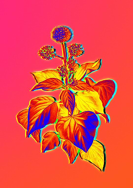 Neon Botanical Flowers