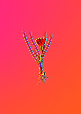 Neon Florals Illustration