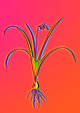 Neon Botanicals Drawing