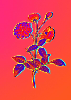 Neon Flora Illustration