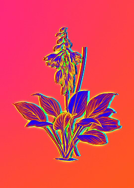 Neon Pink Botanicals