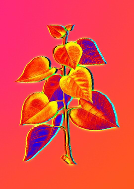 Blue Flowers Yellow Flower