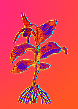 Hot Flower Illustration