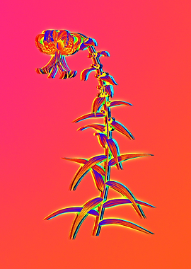 Infrared Neon Flower Pink