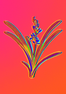 Neon Botanicals Drawing