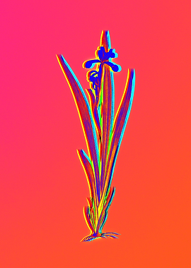 Neon Flower Illustration
