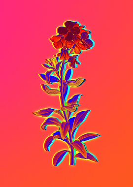 Hot Flower Illustration