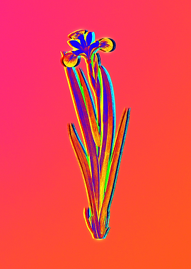 Neon Floral Illustration