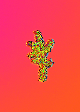 Pink Flower Yellow Flower