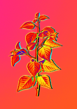 Neon Flower Illustration