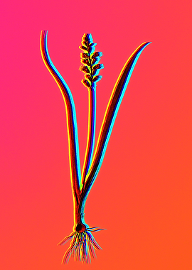 Neon Blue Floral Drawing