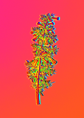 Neon Floral Illustration