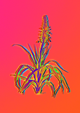 Pink Neon Rainbow Floral