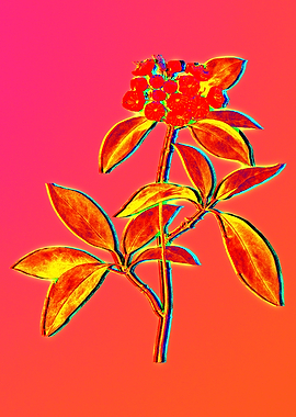 Neon Pop Flower Painting
