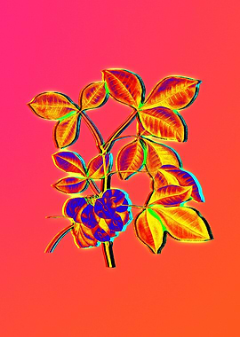 Neon Botanical Flowers