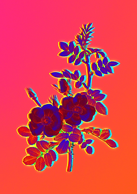 Hot Flower Illustration