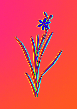 Neon Florals Illustration