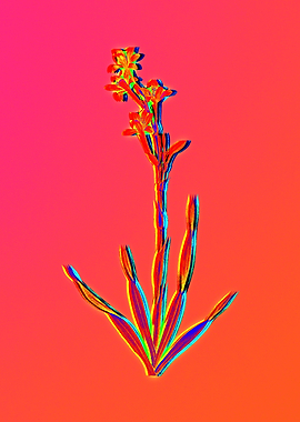 Neon Botanicals Drawing