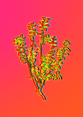 Neon Floral Illustration
