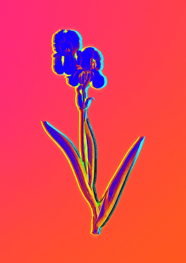 Neon Flower Illustration