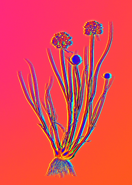 Neon Flower Illustration