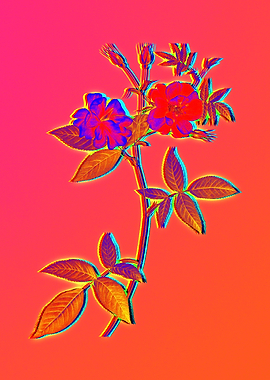 Neon Floral Illustration