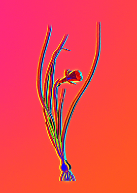 Neon Pink Botanicals