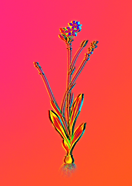 Neon Flower Illustration