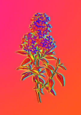 Bright Pink Neon Botanical