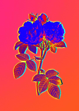 Neon Florals Illustration