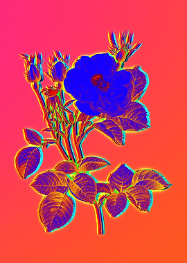Neon Electric Blue Florals