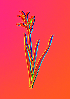 Neon Flower Illustration
