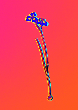 Neon Flora Illustration