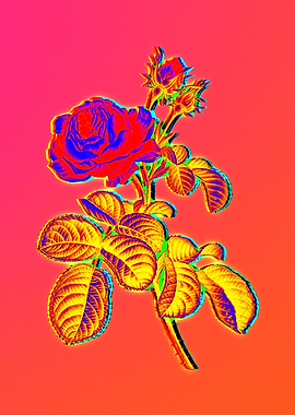 Blue Flowers Yellow Flower