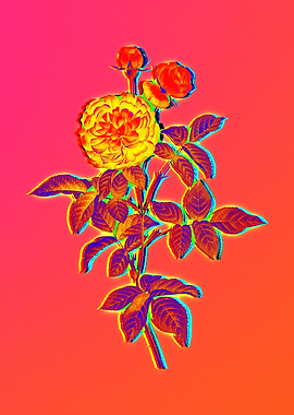 Neon Yellow Flower on Pink
