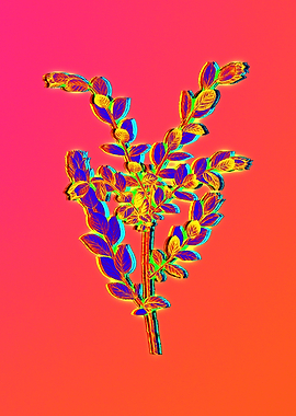 Neon Flower Drawing